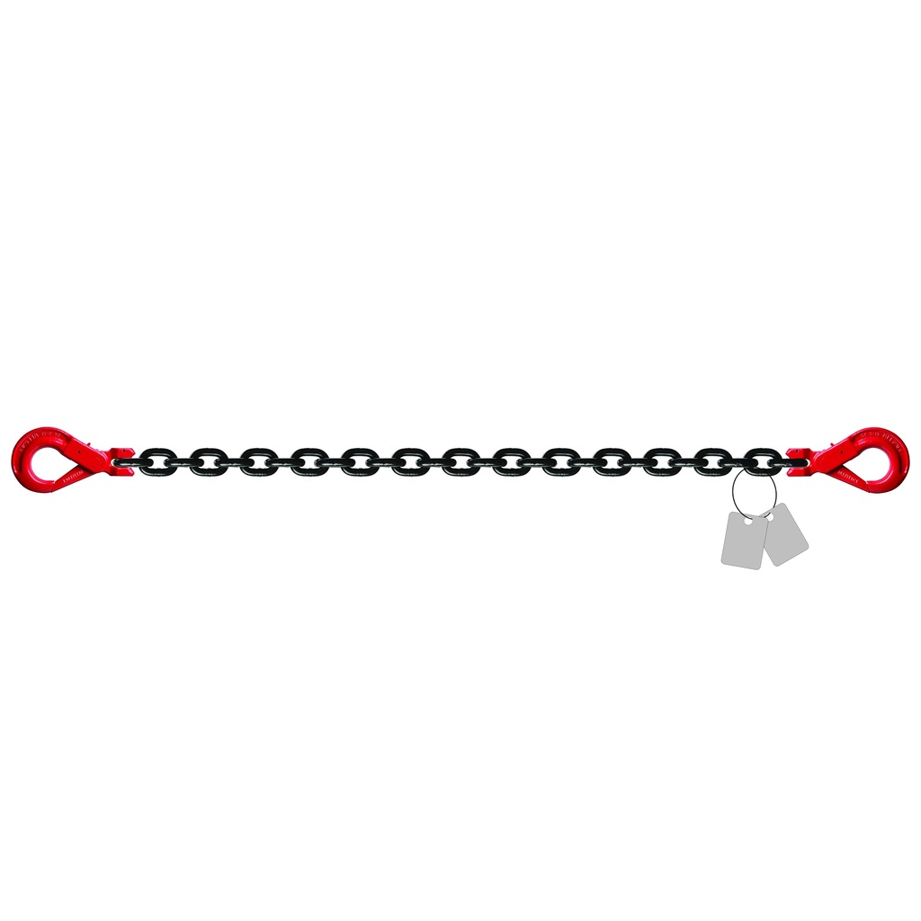 DELTALOCK Grado 80 – 10 mm – 2,5 metro chain – both ends safety hook