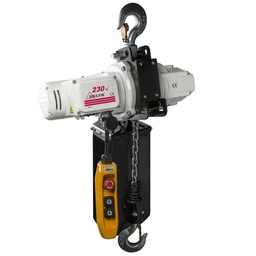 [CZ.0.US.903.00.03] DELTA Electric chain hoist US – 230V – 1 ton – with 3 meter hoisting height – single speed – 1 chain fall