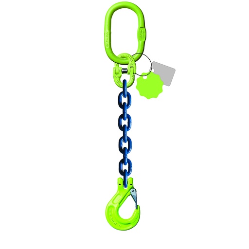 [YE.10.1SK.06.010] DELTALOCK Grade 100 - 1 chaînes des simples 6 mm x 1 meter - Avec crochet de chape 